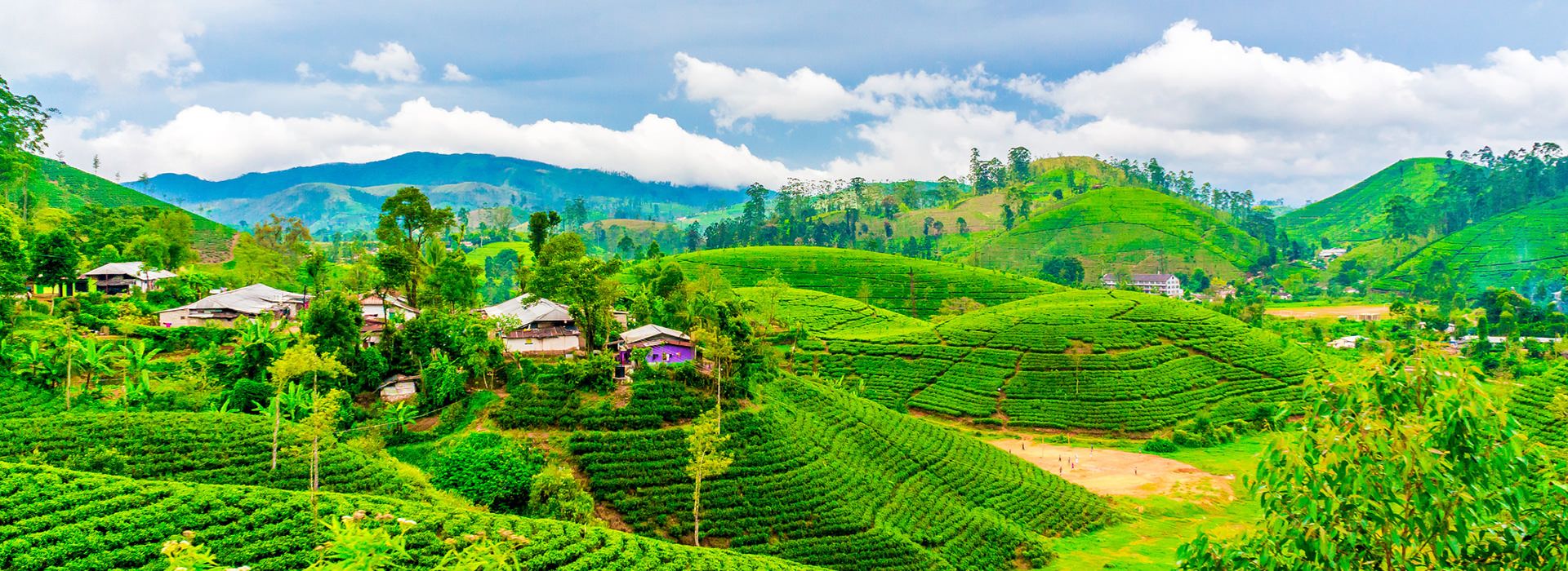 Sri Lanka Travel Guide - Travel Insights and Tips